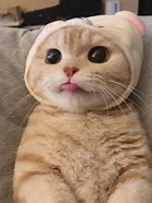 手机的恋爱运检测，其实非常的简单，我们大家都知道，大陆的手机号码有十一码。